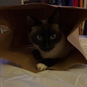 Meet your Posher, Michael